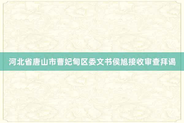 河北省唐山市曹妃甸区委文书侯旭接收审查拜谒