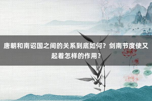 唐朝和南诏国之间的关系到底如何？剑南节度使又起着怎样的作用？