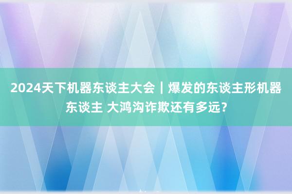 2024天下机器东谈主大会｜爆发的东谈主形机器东谈主 大鸿沟诈欺还有多远？