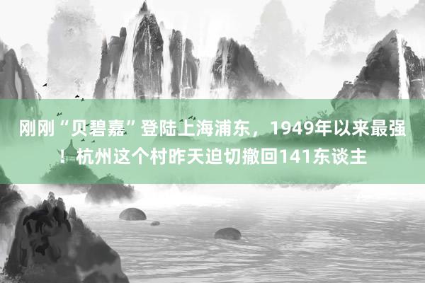 刚刚“贝碧嘉”登陆上海浦东，1949年以来最强！杭州这个村昨天迫切撤回141东谈主