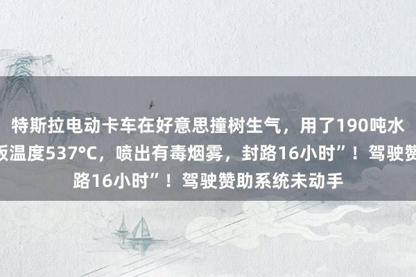 特斯拉电动卡车在好意思撞树生气，用了190吨水才扑灭！“电板温度537°C，喷出有毒烟雾，封路16小时”！驾驶赞助系统未动手