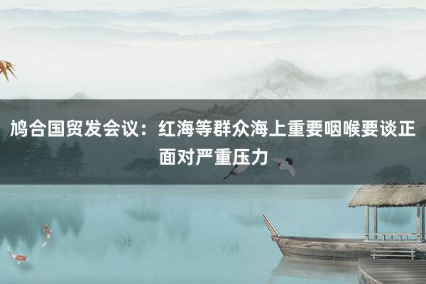 鸠合国贸发会议：红海等群众海上重要咽喉要谈正面对严重压力