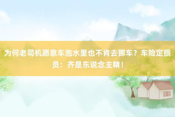 为何老司机愿意车泡水里也不肯去挪车？车险定损员：齐是东说念主精！