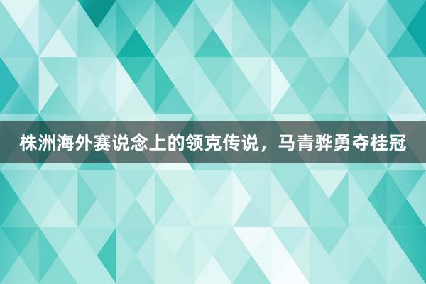 株洲海外赛说念上的领克传说，马青骅勇夺桂冠