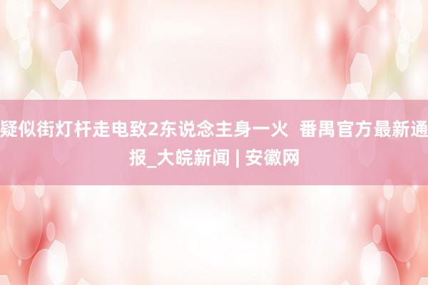 疑似街灯杆走电致2东说念主身一火  番禺官方最新通报_大皖新闻 | 安徽网